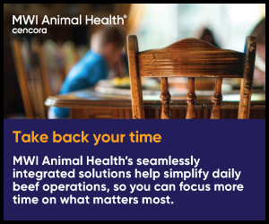 mwi-ncba-september-2026-ads-300x250